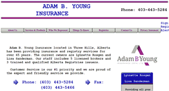 Desktop Screenshot of abyoung.ca